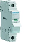 Hager - Interrupteur sectionneur 63A 1P 1 module