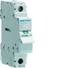 Hager - Interrupteur sectionneur 80A 1P 1 module