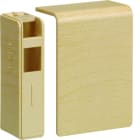 Hager - Embout pour plinthe SL 20x55mm Erable