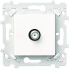 Hager - Essensya Prise TV type "F"