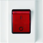 Hager - Interrupteur 16AX pour multi-prises gallery 2P+T pure