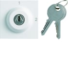 Hager - Interrupteur gallery à clefs 2 positions 2 modules Pure