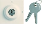 Hager - Interrupteur Gallery à clefs 2 positions 2 modules Dune