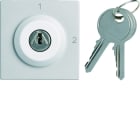 Hager - Interrupteur gallery à clefs 2 positions 2 modules Titane