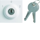 Hager - Interrupteur Gallery à clefs 3 positions 2 modules Pure