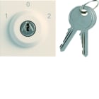 Hager - Interrupteur Gallery à clefs 3 positions 2 modules Dune