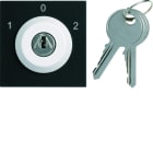 Hager - Interrupteur Gallery à clefs 3 positions 2 modules Night