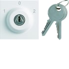 Hager - Interrupteur Gallery à clefs 3 positions extraction en position 0 Pure