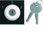 Hager - Interrupteur Gallery à clefs 3 positions extraction en position 0 Night