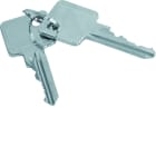 Hager - Kit de 2 clés, Accessoire, pour profil semi cylindrique ZAY50994