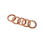 Spit - Pack de 5 rondelles en cuivre