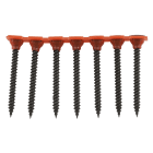 Spit - Vis en bande CS35