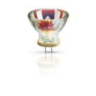 Philips - Lampe Halogène 6423FO 150W GZ6.35 15V 1CT/10X5F