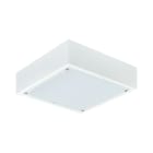 Philips - Encastré Salle Blanche LED CR250B LED35S/840 PSU W60L60 IP65 OC