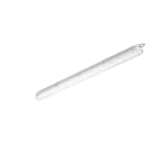 Philips - CoreLine Etanche LED 1200 DETECTEUR WT120C 840 30W 4000lm IP65 IK08 50000hL85