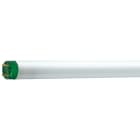 Philips - MASTER TL-D Eco 16W/840