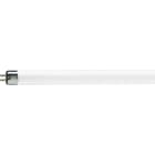 Philips - TL Mini 4W/33-640 Emballage individuel