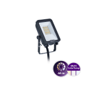 Philips - Ledinaire Projecteur All in BVP167 MultiCCT 830 840 865 SYM 10W 1200lm 50khL80