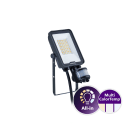 Philips - Ledinaire Projecteur All in BVP167 MultiCCT 830 840 865 SYM 30W 3600lm 50khL80