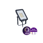 Philips - Ledinaire Projecteur All in BVP167 MultiCCT 830 840 865 SYM 50W 6000lm 50khL80