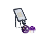 Philips - Ledinaire Projecteur All in BVP167 MultiCCT 830 840 865 SYM 50W 6000lm Détect