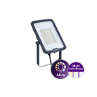 Philips - Ledinaire Projecteur All in BVP167 MultiCCT 830 840 865 SYM 70W 8400lm 50khL80