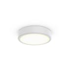 Signify - Essential TC BR MS 19S/940 DIA OC WH401T102