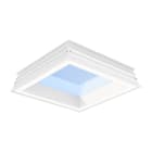 Signify - Luminaire puits de lumière NatureConnect Skylight W60L60