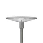 Philips - TownGuide LED Cone Plat Clair 62P BDP100 730 DW 49,5W 7000lm IP66 IK10 100 000h