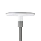 Philips - TownGuide Cône Plat (Performance) BDP100 LED40/740 II DW PCF SI LS-6 62P