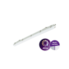 Philips - Ledinaire Etanche All in 1200 Multilumen WT065C OnOff 2900-4800lm IP65 50khL75