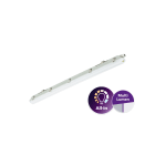Philips - Ledinaire Etanche All in 1200 Multilumen WT065C OnOff 2900-4800lm IP65 50khL75
