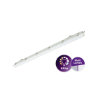 Philips - Ledinaire Etanche All in 1500 Multilumen WT065C OnOff 4100-6800lm IP65 50khL75