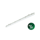 Philips - Ledinaire Etanche LED 1500 WT075C 840 EcoSet 50W 6800lm 50000hL70