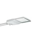 Signify - LumiStreet gen2 Medium BGP293 LED240-4S/740 II DM50 D9 48/60S