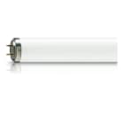 Philips - TL 100W/10-R