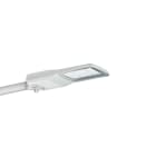 Philips - LUMISTREET MINI 12000lm 730 Opti MED 50 CLASSE II DALI FIXATION Ø 48/60 100000h