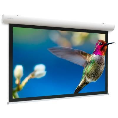 Sidev - Ecran electrique Elpro 173x300
