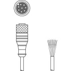 Leuze Electronic - CB-M12-15000S-8GF Connexion 1: Connecteur rond, M12, Axiale, Prise femelle, Coda