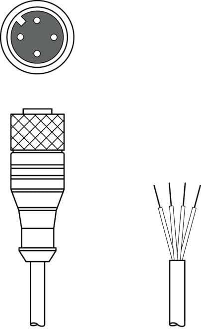 Leuze Electronic - KD U-M12-4A-P1-150 Connexion 1: Connecteur rond, M12, Axiale, Prise femelle, Cod