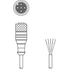 Leuze Electronic - KD S-M12-5A-P1-300 Connexion 1: Connecteur rond, M12, Axiale, Prise femelle, Cod