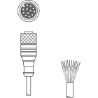 Leuze Electronic - KD S-M12-CA-P1-150-V4A Connexion 1: Connecteur rond, M12, Axiale, Prise femelle,