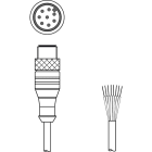 Leuze Electronic - KS S-M12-8A-P1-100 Connexion 1: Connecteur rond, M12, Axiale, Prise mâle, Codage