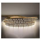 Miidex Lighting - BANDEAU BLC 4000K 5M 60LED ET 5W/M IP20 12V