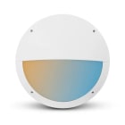 Miidex Lighting - CASA ASYM HUBLOT DIAM 300MM 20W CCT BLC IP65 + DETECT RF PRE D'EXT 3A