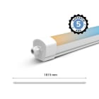 Miidex Lighting - DANUBE CCT II ETANCHE 1815MM 58W 3CCT CAB MIL IP65 IK10 TRA 5A (X6)