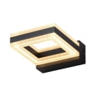 Miidex Lighting - RING APPL 12W CARRE 4000K GS ANT IP54
