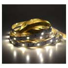 Miidex Lighting - BANDEAU BLC 4000K 5M  30LED ET 7,2W/M IP20 24V