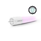 Miidex Lighting - TUBE LED T8 1500MM 24W 85-265V PINK (X10) 5A- 50000h