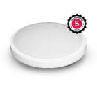 Miidex Lighting - CASSIOPEE HUBLOT DIAM 330MM 24W 4000K IP65 CLASSE II
